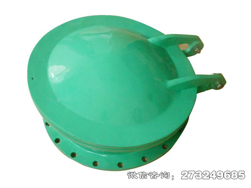 昭阳耐腐蚀管道玻璃钢拍门