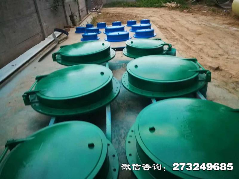 红寺堡市政管道口玻璃钢拍门
