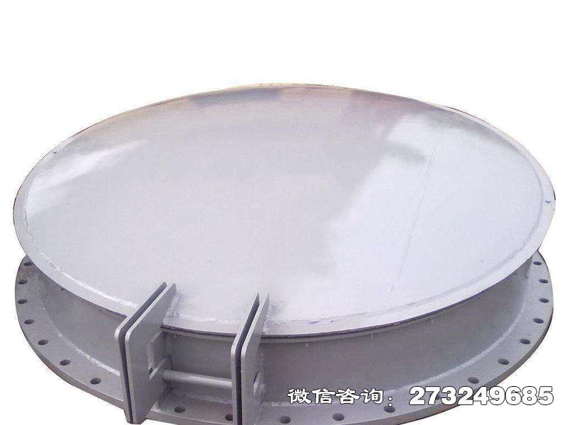 宣恩县铸铁钢制拍门